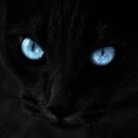 yJoTaX_FanTaSmA